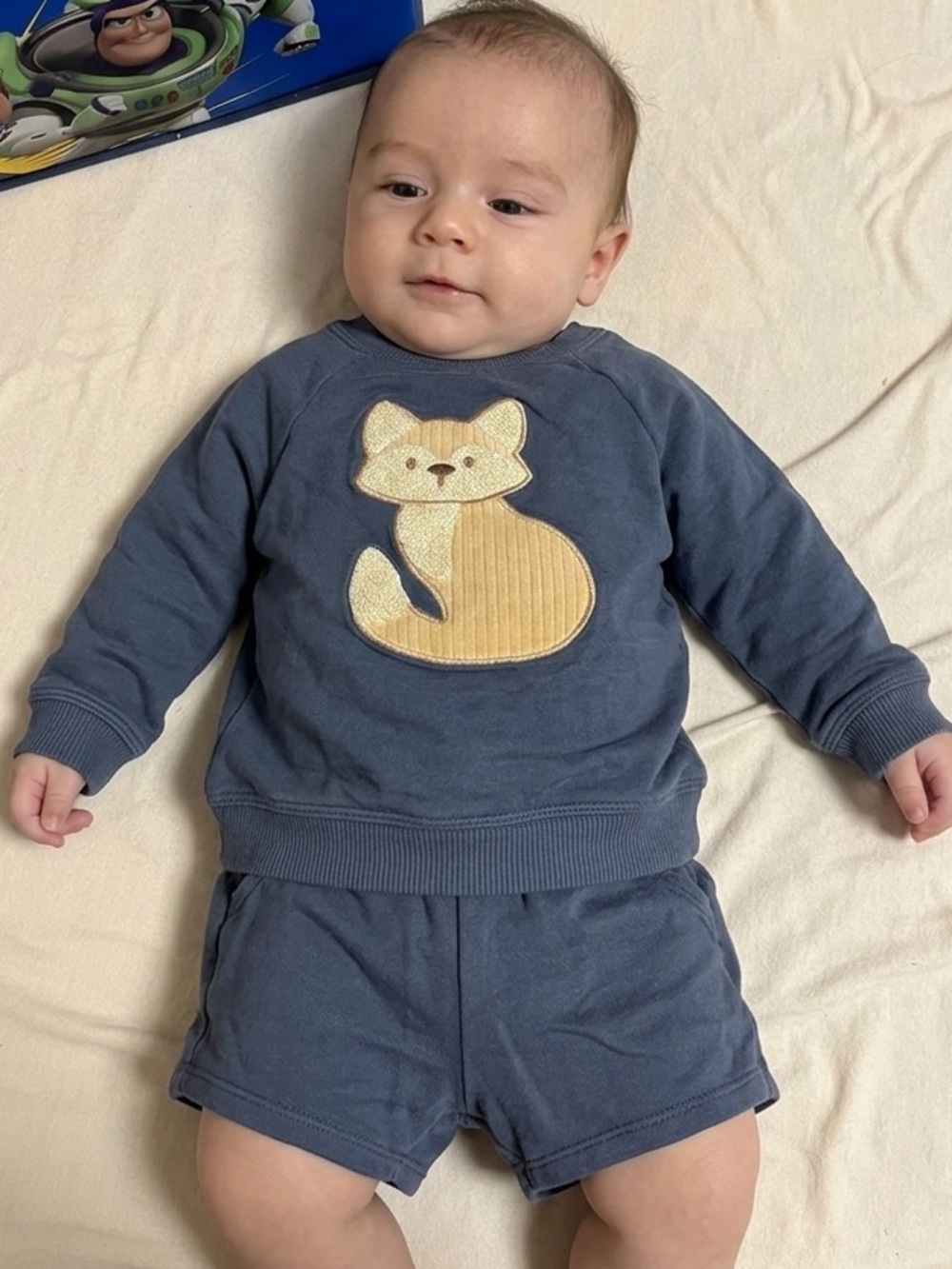 Cloud Island Adorable Fox Two-Piece Pullover & Shorts Set